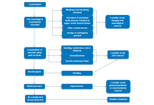 Examination and referral flowchart 